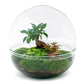 Bonsai im Moosbett - Kugel-Terrarium - (Ficus Ginseng) - DIY-Flaschengarten-Set 